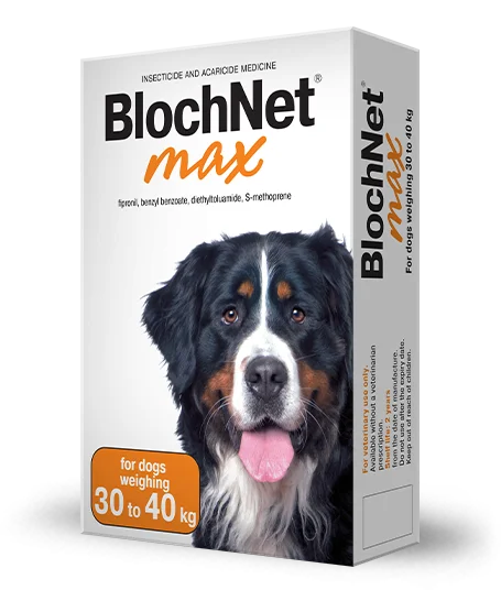 BlohNet max for dogs weighing from 30 to 40 kg