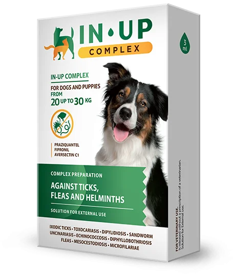 IN-UP complex drops for dogs weighing 20 to 30 kg