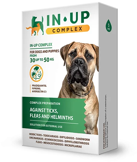 IN-UP complex drops for dogs weighing 30 to 50 kg